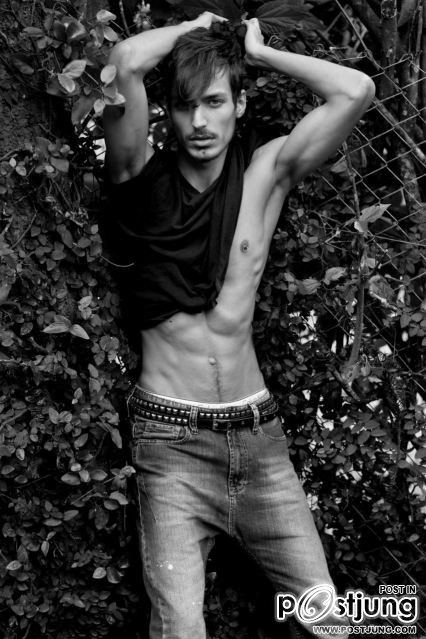 Paulo Mainardi