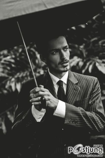Paulo Mainardi