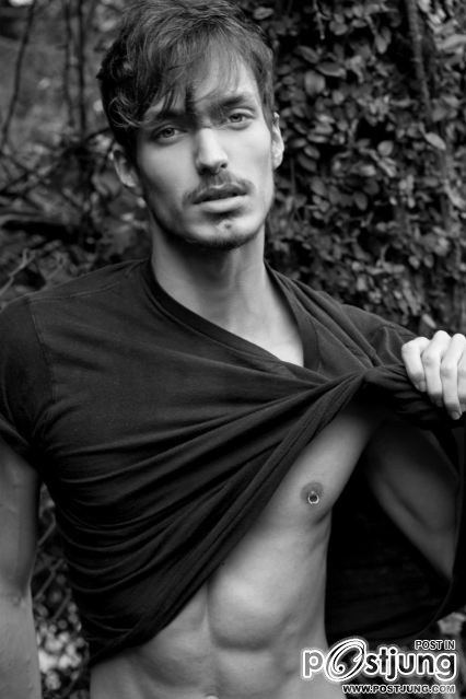 Paulo Mainardi