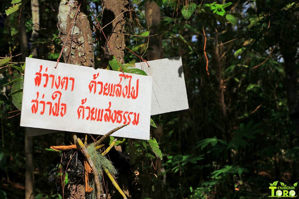พระธาตุผาส้ม อำเภอสะเมิ ง อำเภอผมเองครับ