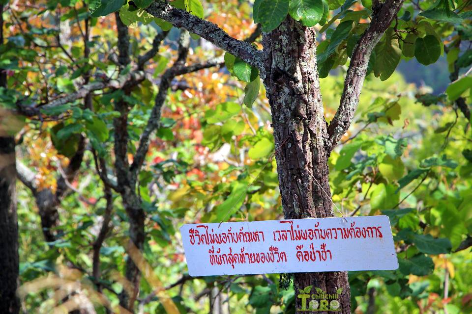 พระธาตุผาส้ม อำเภอสะเมิ ง อำเภอผมเองครับ