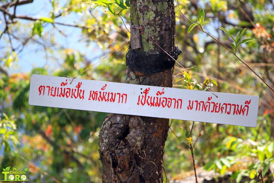 พระธาตุผาส้ม อำเภอสะเมิ ง อำเภอผมเองครับ