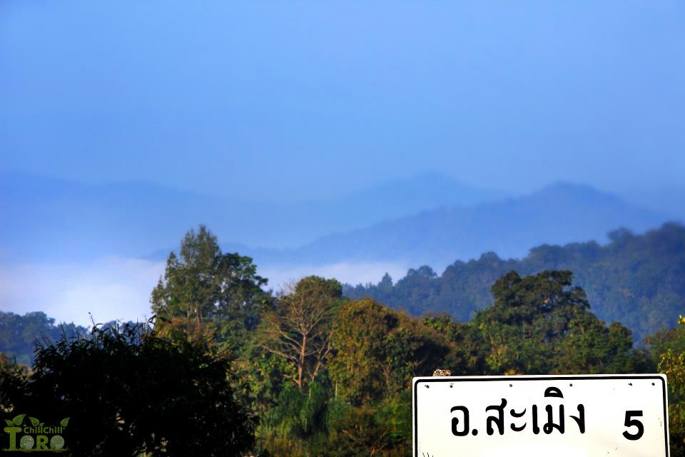 สะเมิ ง บ้านเฮา