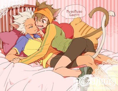 YAOI 223