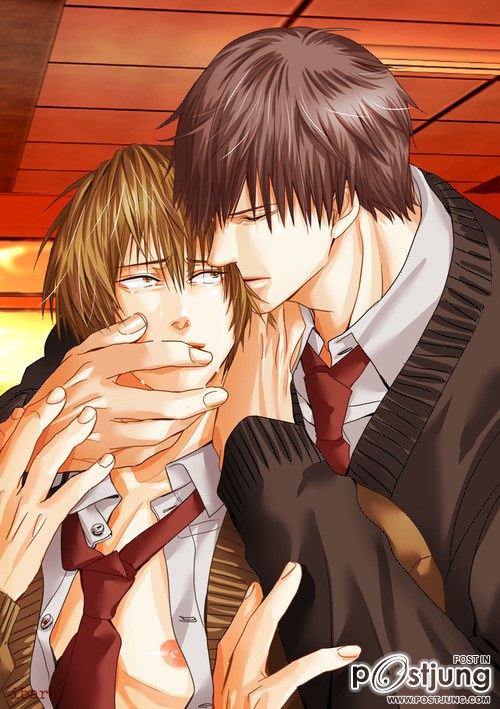 YAOI 223