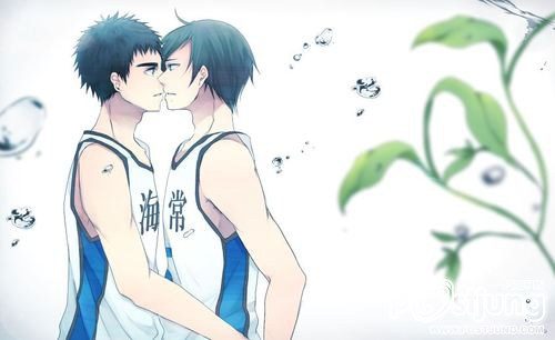 YAOI 223