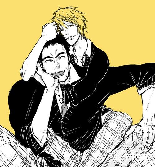 YAOI 223
