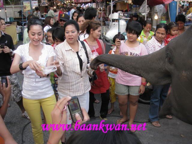 ขวัญ อุษามณี (รูปตอนไปทำบุญ)^___^