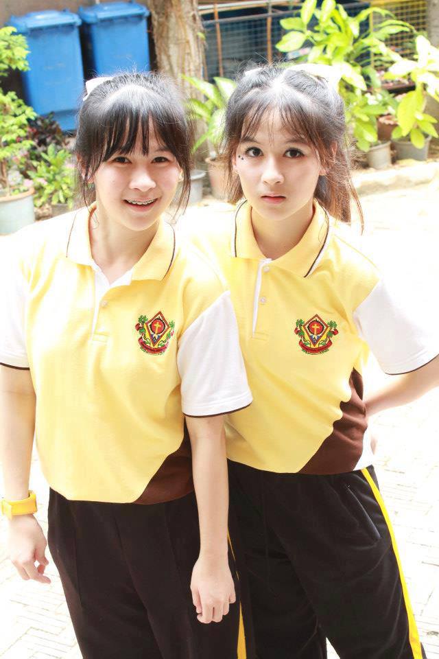 ฝาแฝดสาวน่ารัก FF