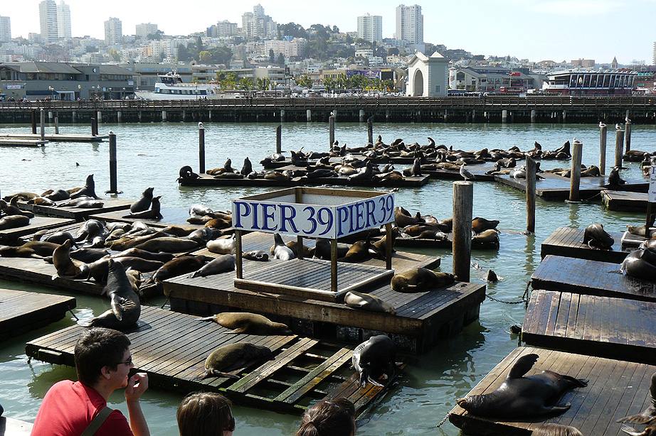 นครซานฟรานซิสโก(San Francisco) สหรัฐอเมริกา