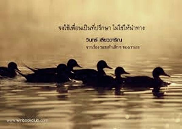ความหมาย dee dee