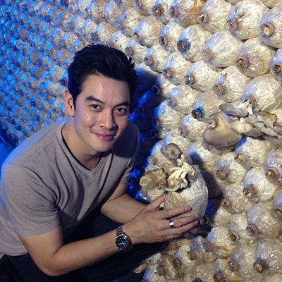 มาเฟียเลือดมังกร วางรุ่นเก๋าลงละคร เสือ สิงห์ กระทิง แรด หงส์