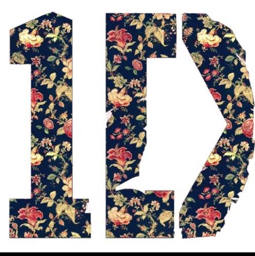 One Direction Update