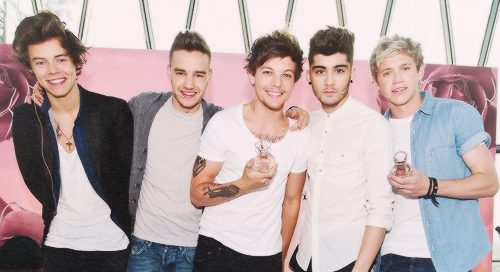 One Direction Update