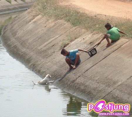มิตรภาพไร้พรมแดน!