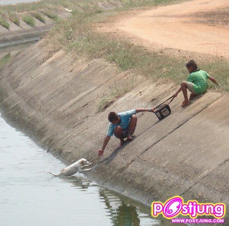 มิตรภาพไร้พรมแดน!