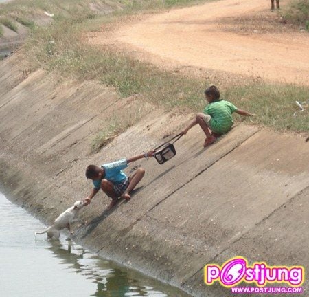 มิตรภาพไร้พรมแดน!