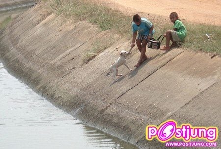 มิตรภาพไร้พรมแดน!