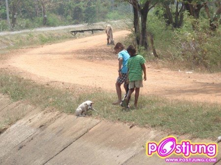 มิตรภาพไร้พรมแดน!