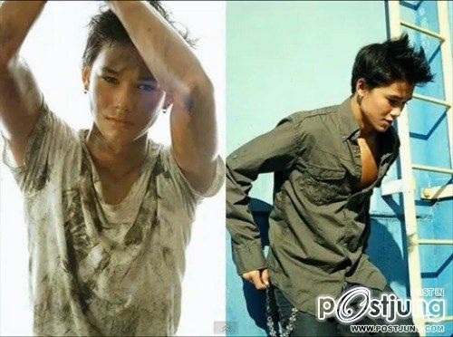 Boo Boo Stewart หมาป่าน้อย จาก ทไวไลท์