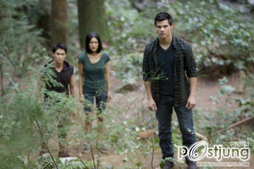 Boo Boo Stewart หมาป่าน้อย จาก ทไวไลท์