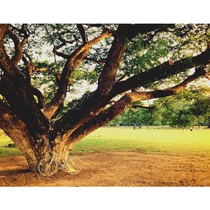 รวมรูปภาพยามเช้า ที่หลายคนในกทม ไม่เคยสัมผัส #forgoodmorning