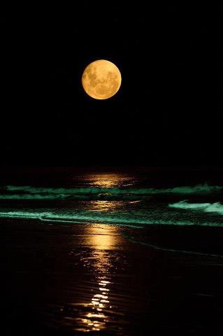 ภาพสวยๆ จาก Tumblr