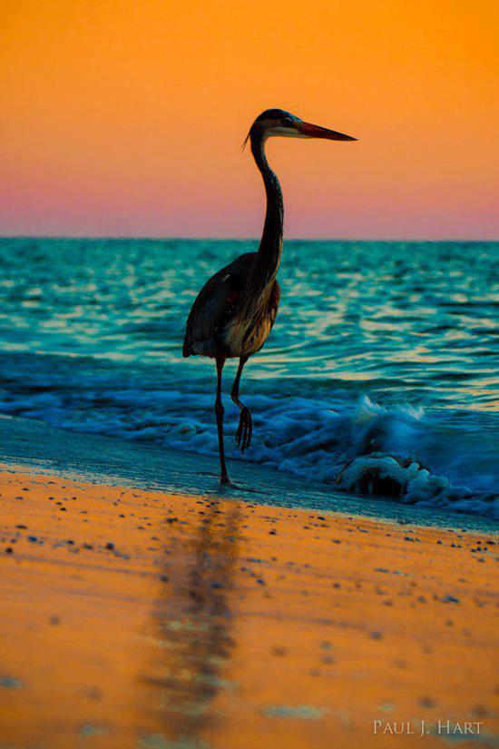ภาพสวยๆ จาก Tumblr