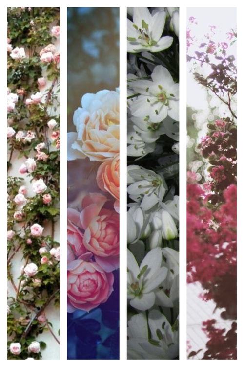 ภาพสวยๆ จาก Tumblr