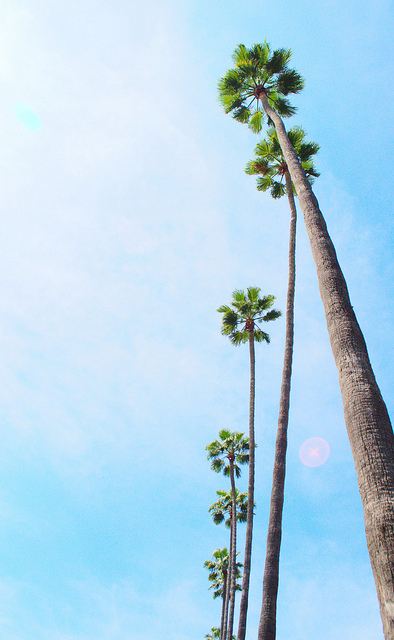 ภาพสวยๆ จาก Tumblr