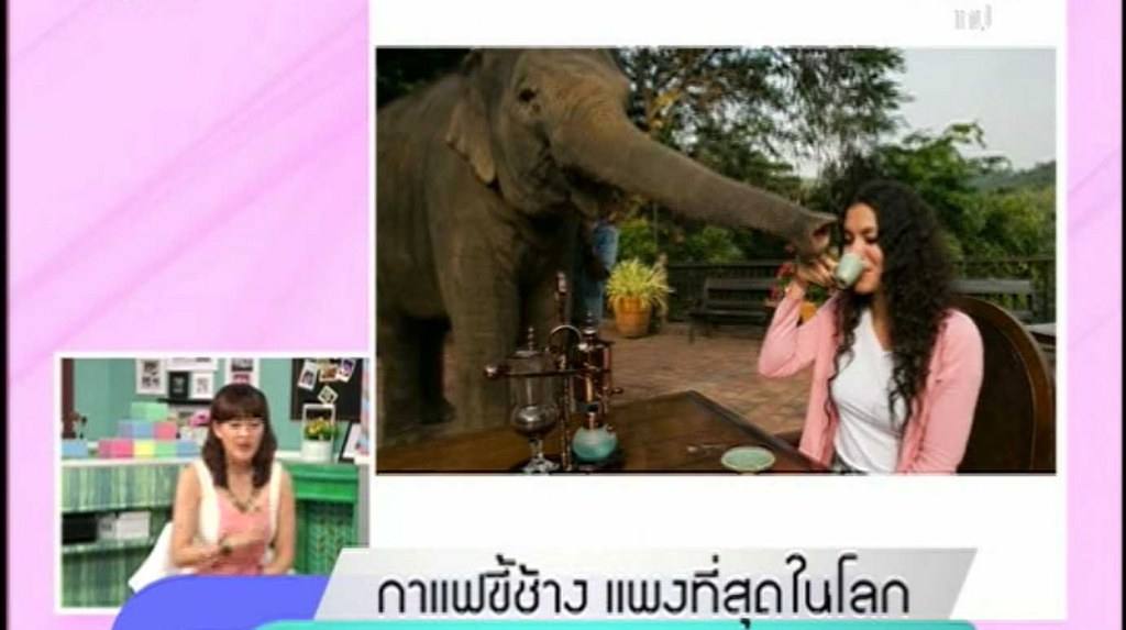 คนน่อคน มักกินขี้ กินมิหยังแปลกๆ // กาแฟขี้ช้าง โลละ34,000 บ.//