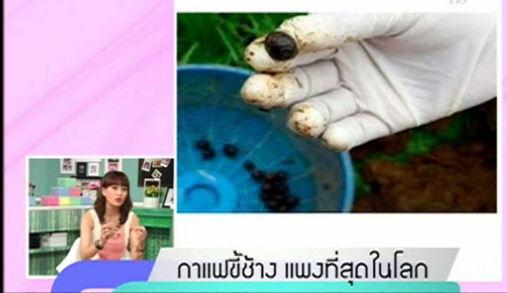 คนน่อคน มักกินขี้ กินมิหยังแปลกๆ // กาแฟขี้ช้าง โลละ34,000 บ.//