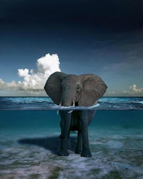 ภาพสวยๆ จาก Tumblr 2