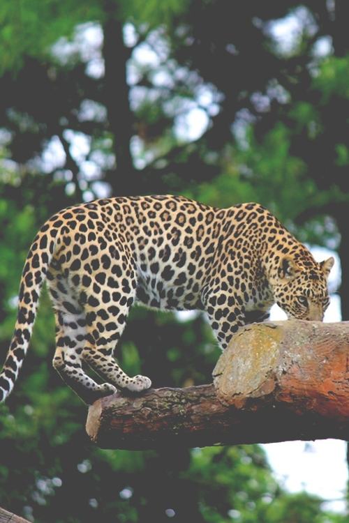 ภาพสวยๆ จาก Tumblr 2