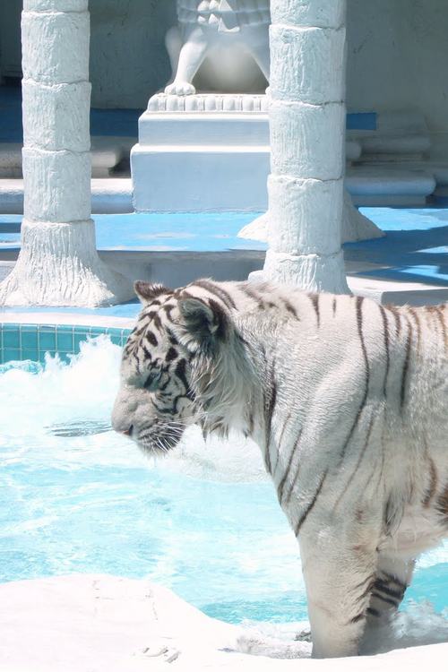 ภาพสวยๆ จาก Tumblr 2