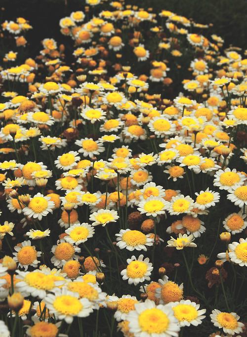 ภาพสวยๆ จาก Tumblr 2