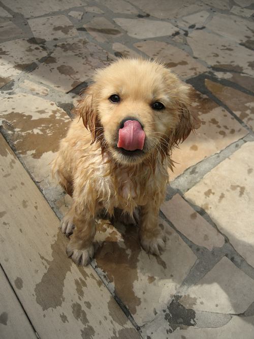 ภาพสวยๆ จาก Tumblr 2