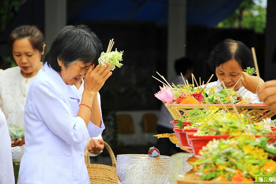 อำเภอสะเมิ ง  บ้านเรา ช่วงนี้กำลังทำนาครับ