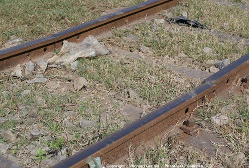 รถไฟในกัมพูชา