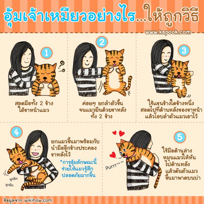 วิธี อุ้มเจ้าเหมียวอย่างไรให้ถูกวิธี ไปดูกัน