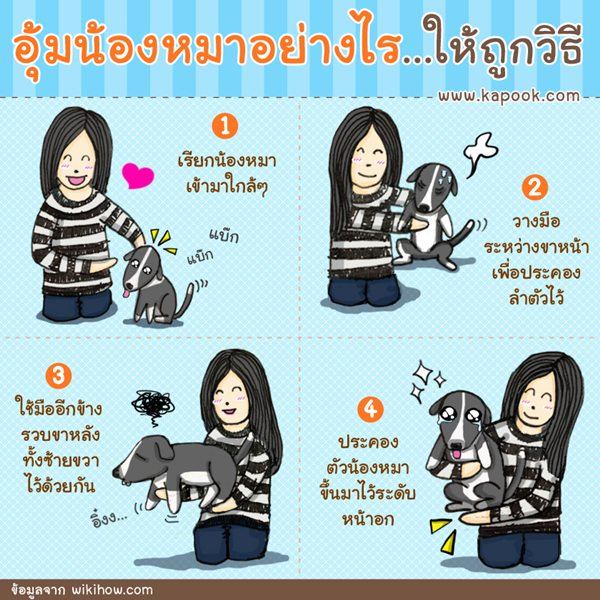 วิธีอุ้มสุนัข ไม่ให้บาดเจ็บ สำหรับ คนรักน้องหมา