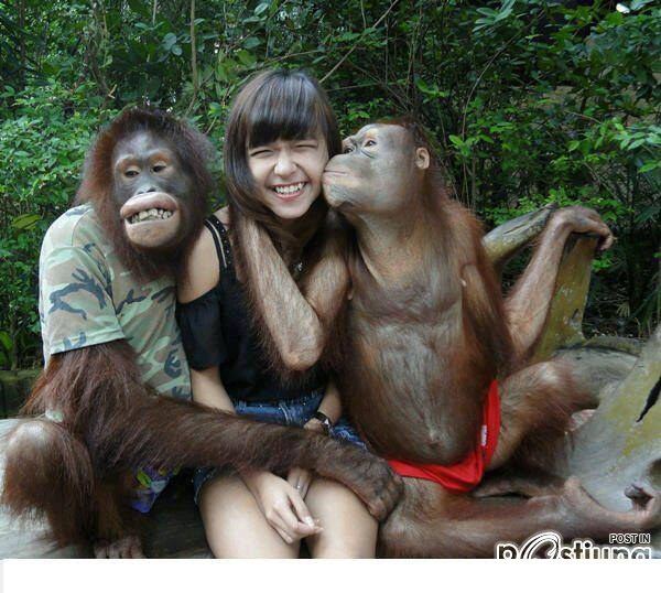 น่ารัก แปลก ฮา