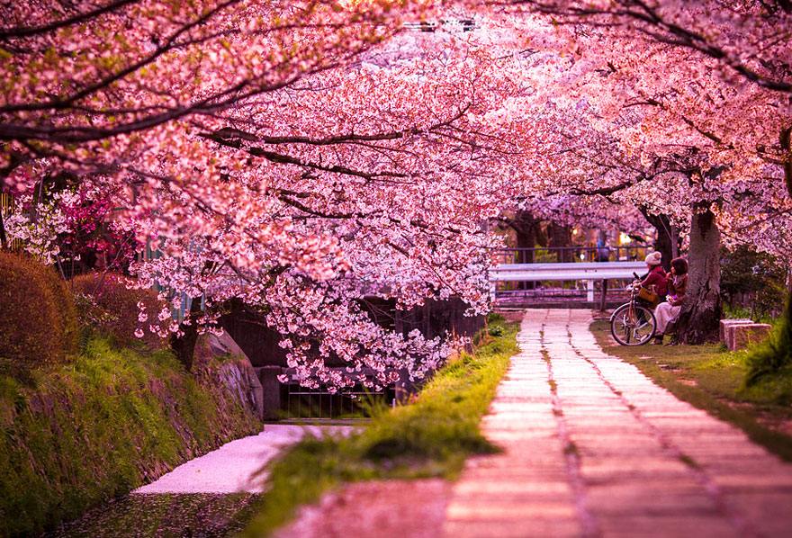 Beautiful Wallpapers