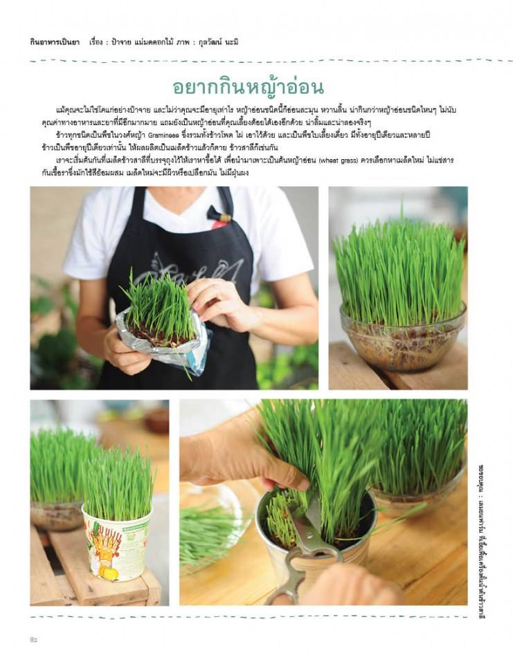 นิตยสารแฮปปี้พลัส เล่ม 10 (ส.ค. 56)
