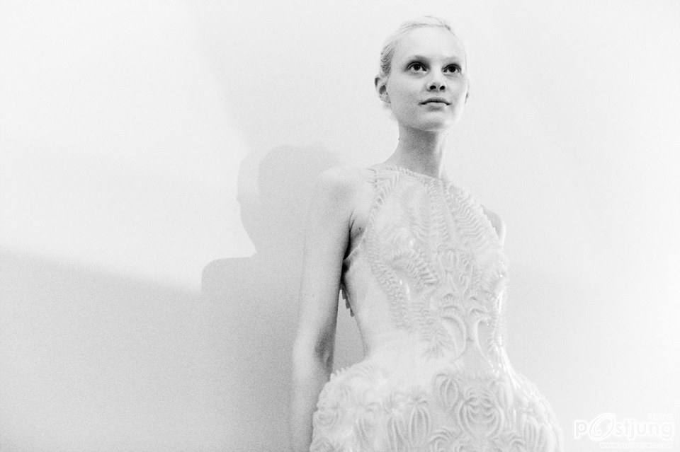 Iris Van Herpen Couture Fall 2013
