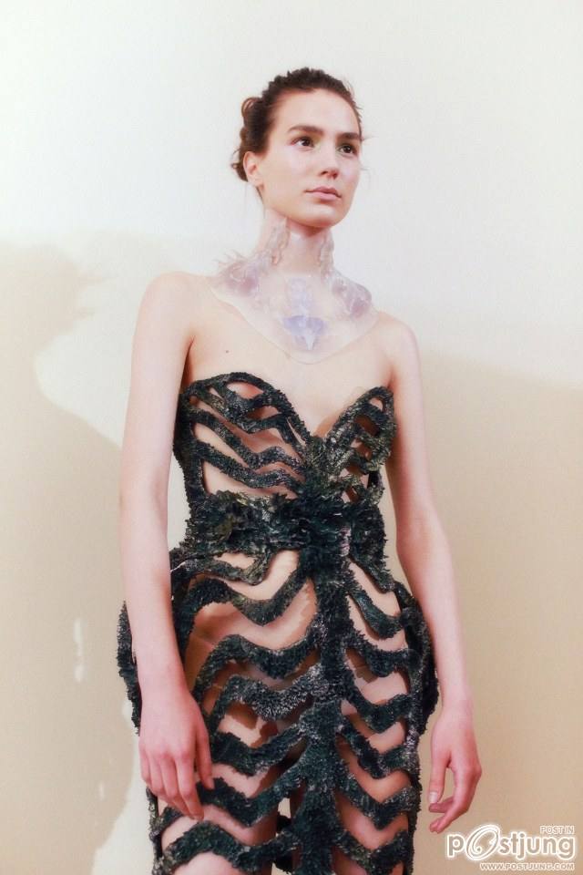 Iris Van Herpen Couture Fall 2013