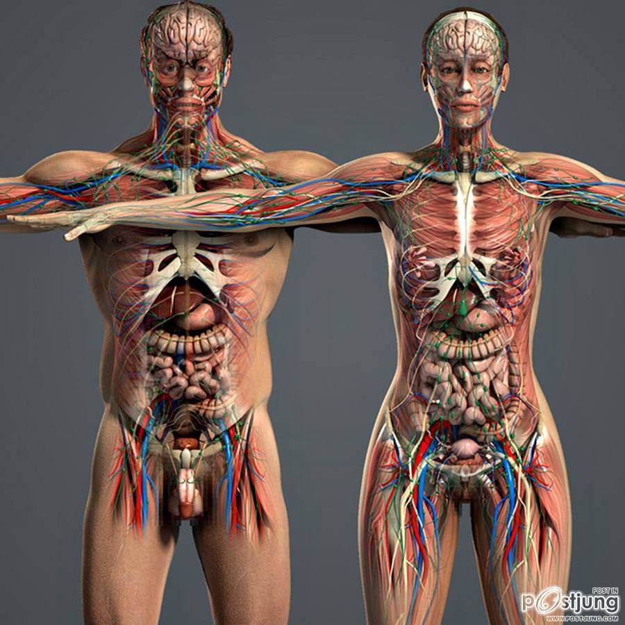 Sexy 3D
