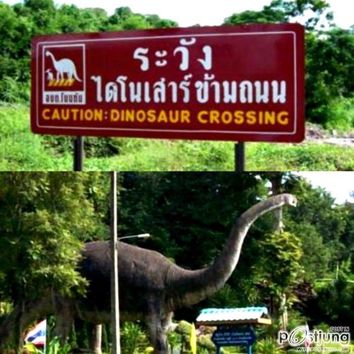 ฮาไป ขำไป