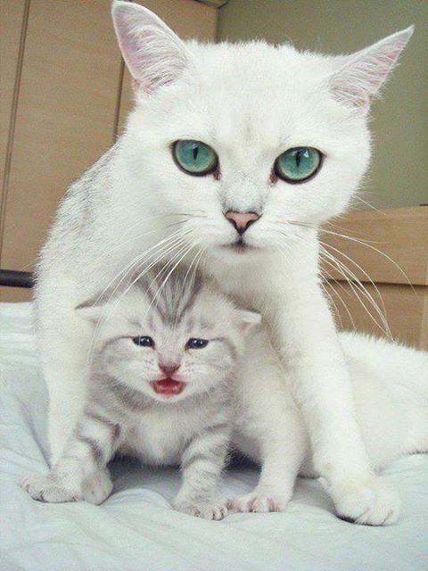 แม่และลูก