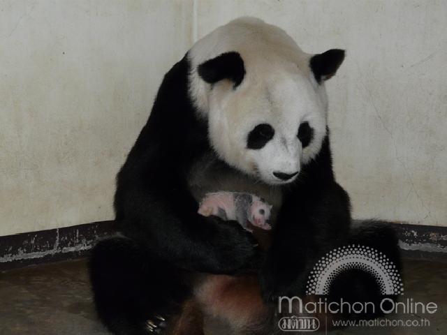 แม่และลูก
